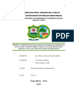 Informe Final