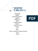 Tema 6 El Análisis o Estudio Del Puesto Psicologia Industrial