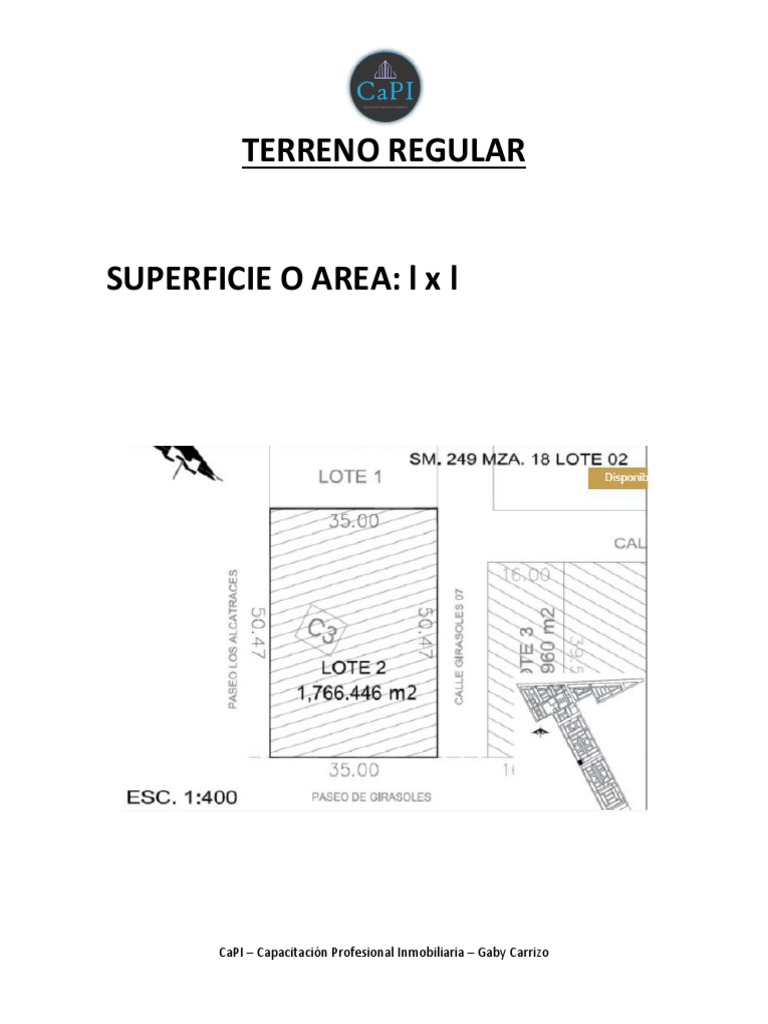 capi-desarrollo-en-clase-aprender-a-tasar-1-pdf