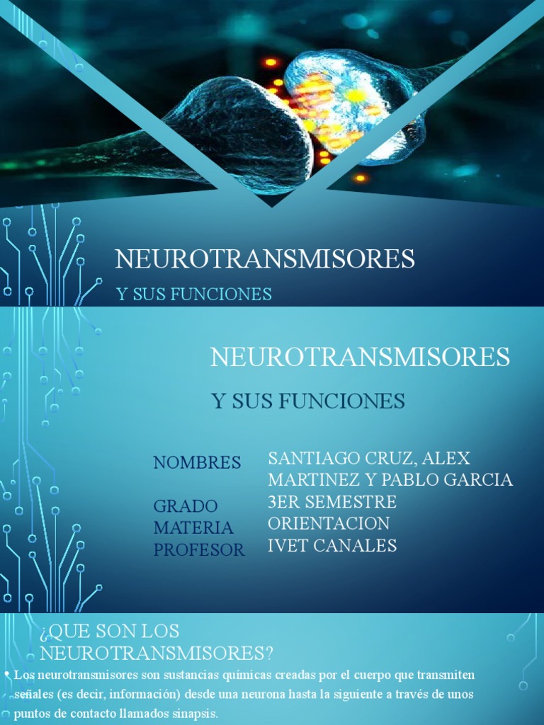 Funciones y Tipos de Neurotransmisores | PDF | Serotonina | Sinapsis