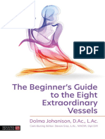 The Beginners Guide To The Eight Extraordinary Vessels (Dolma Johanison)