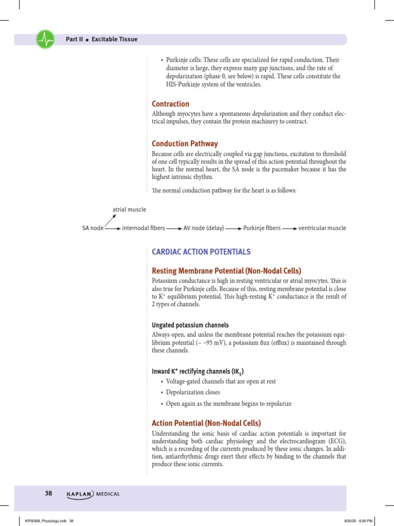 VIIPHYSIOLOGY Kaplan Medical USMLE Step 1 Lecture Notes 2021 (2021) (Arrastrado) PDF