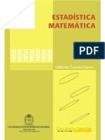 Estadística Matemática 9789587190700