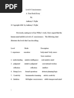 Download Level 6 Consciousness by Anthony J Fejfar SN665 doc pdf