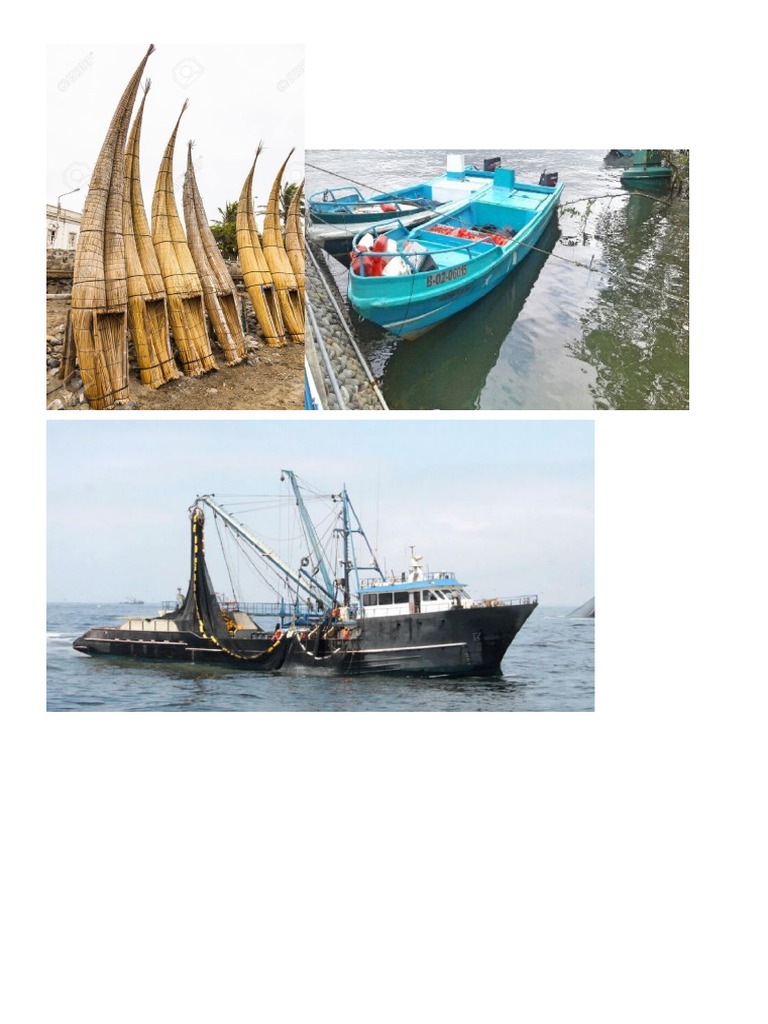 Pesca | PDF