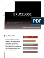 Brucelose Slides