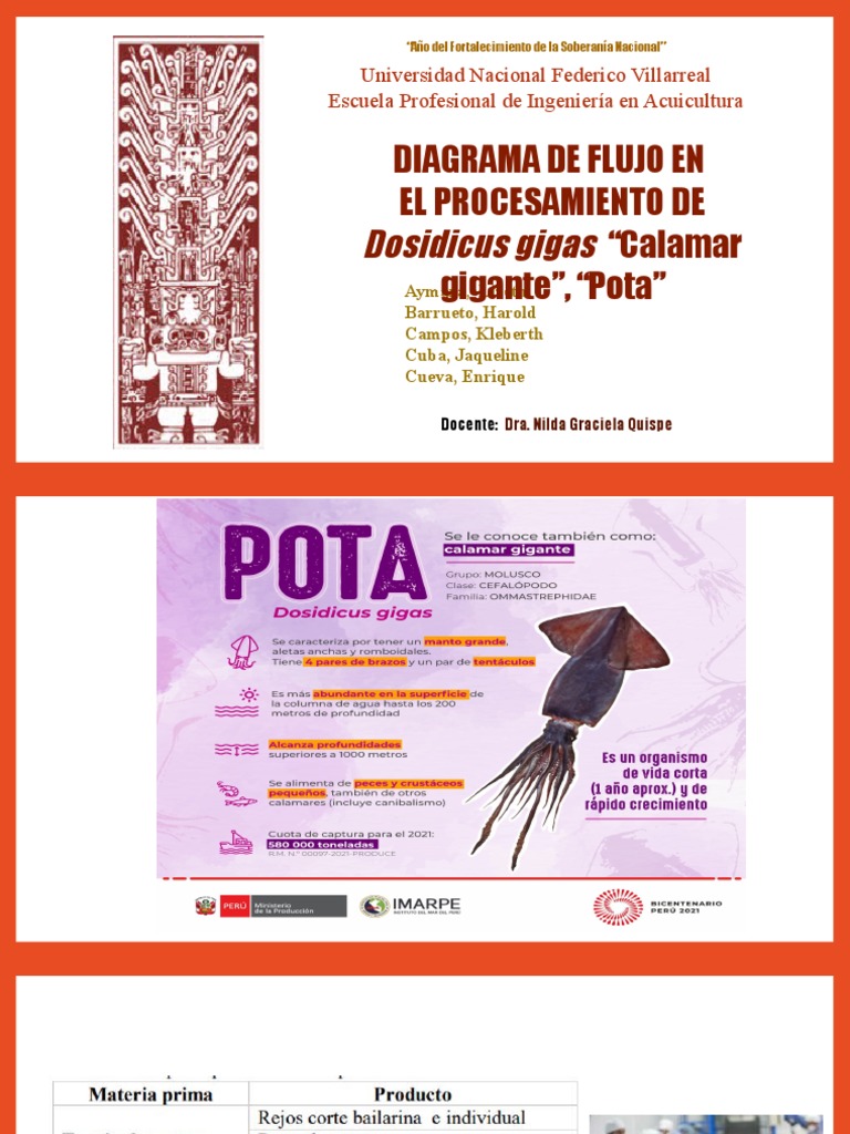 Grupo 1 - Diagrama de Flujo de Procesamiento de Pota | PDF