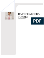 David Carrera Curriculum