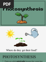 PHOTOSYNTHESIS Light-Dependent Reaction