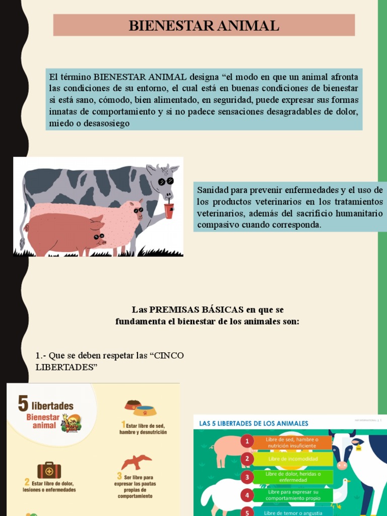 Claves del Bienestar Animal y Estrés | PDF | Salud y bienestar