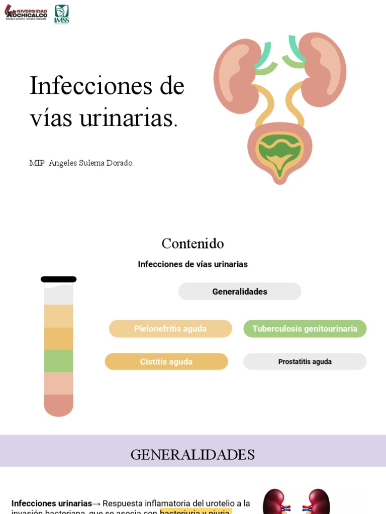 Infecciones de Vias Urinarias | PDF
