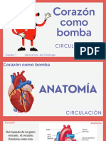 Blue and Red Illustrated Handdrawn Heart Diseases Medical Healthcare Education Presentation