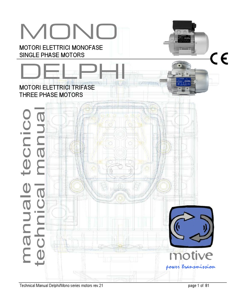 DELPHI Manuale Ing | PDF