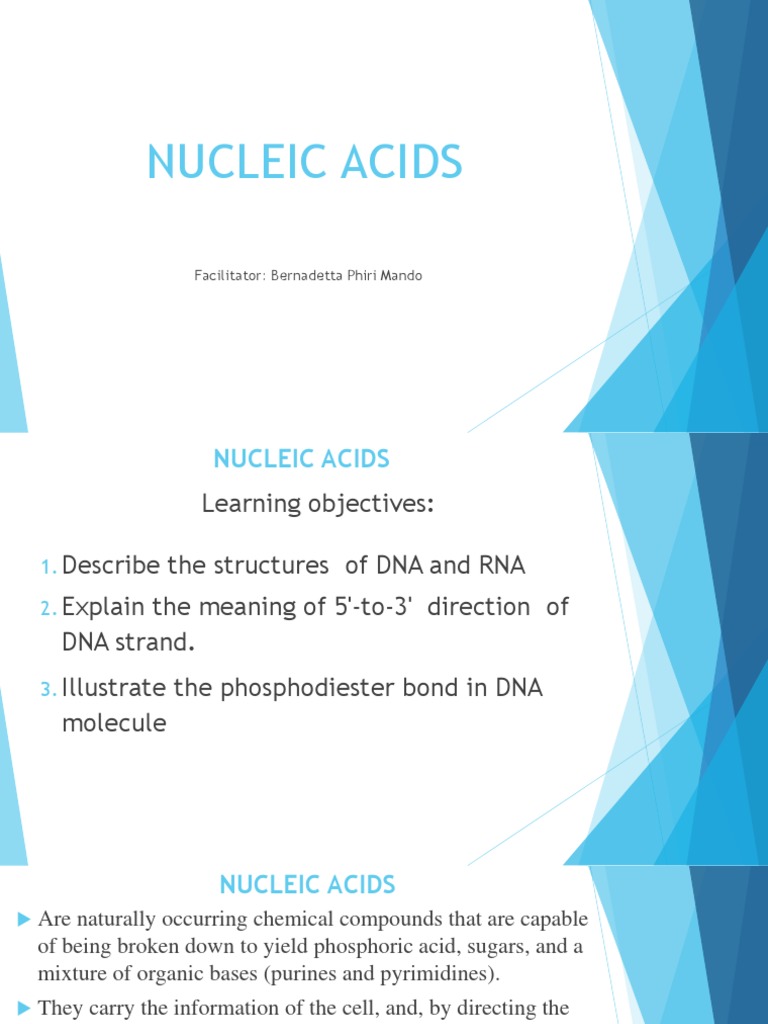 Nucleic Acids Biochemistry | PDF