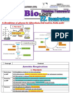 CH 22 (TF) (Note) Respiration (Thinking Framework)