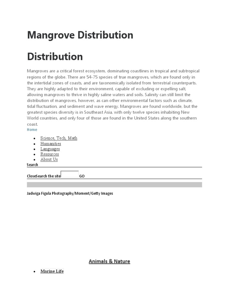 Mangrove PDF Mangrove Trees