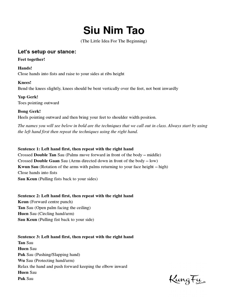 Siu Nim Tao: Wing Chun Basics Guide | PDF