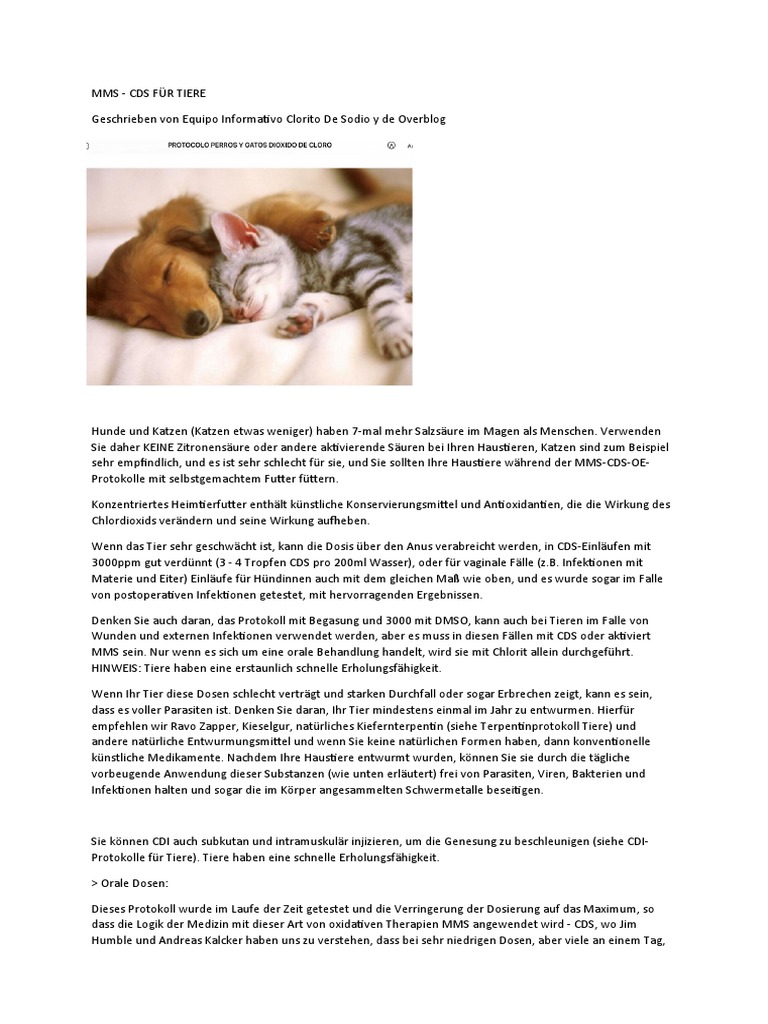 ClO2 2023 Tier Behandeln mit CDL MMS | PDF