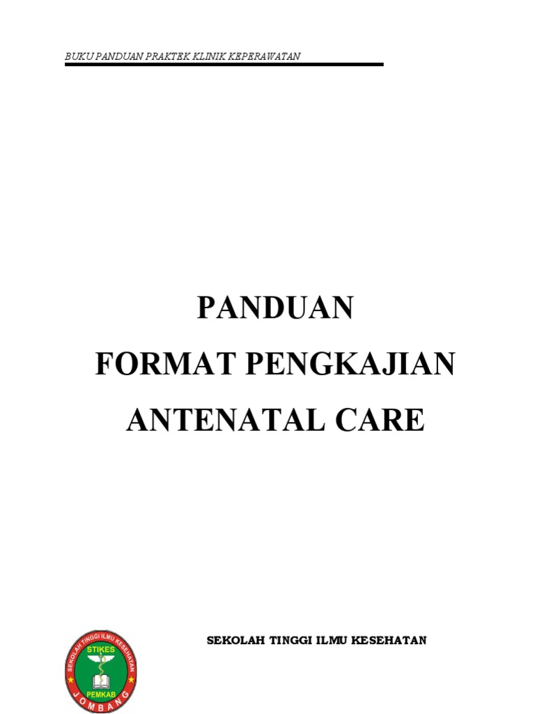 Format Pengkajian ANC, INC, PNC | PDF
