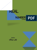 Completed Real Numbers