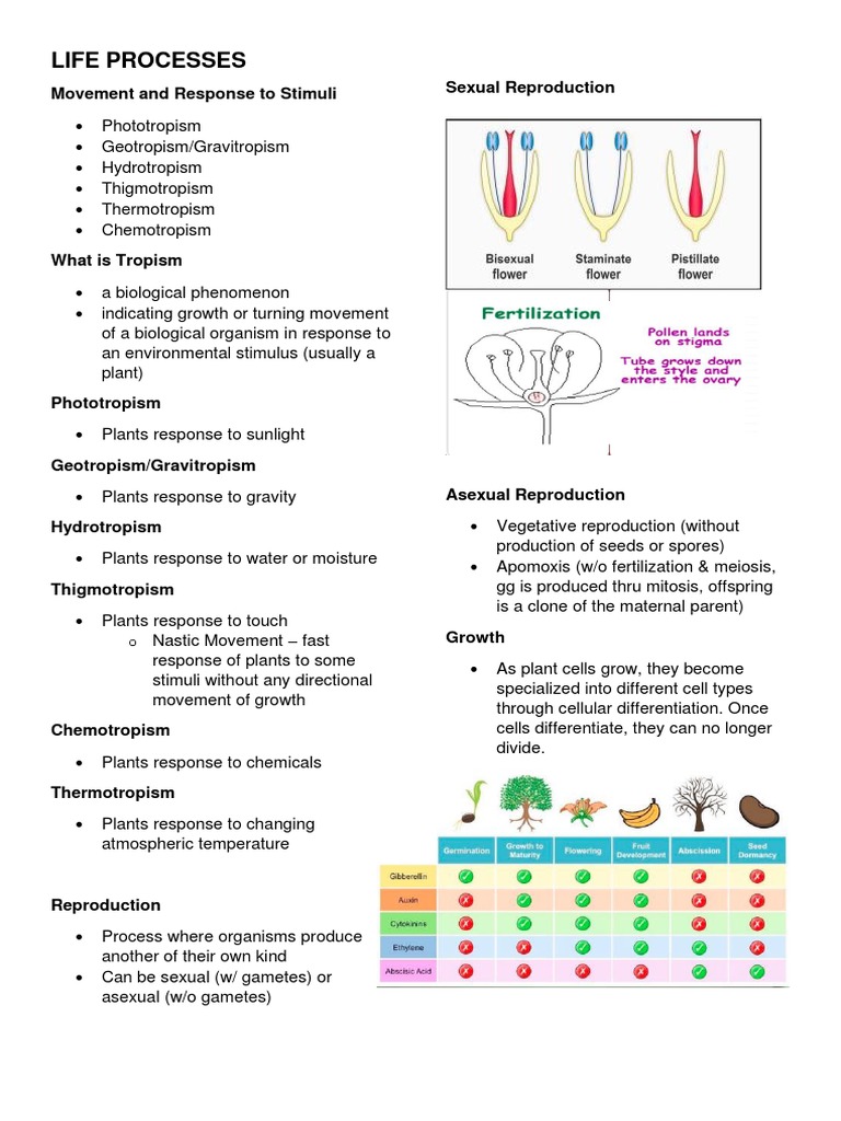 Life Processes 1 Bio Reviewer | PDF