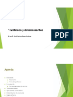 1 Matrices y Determinantes