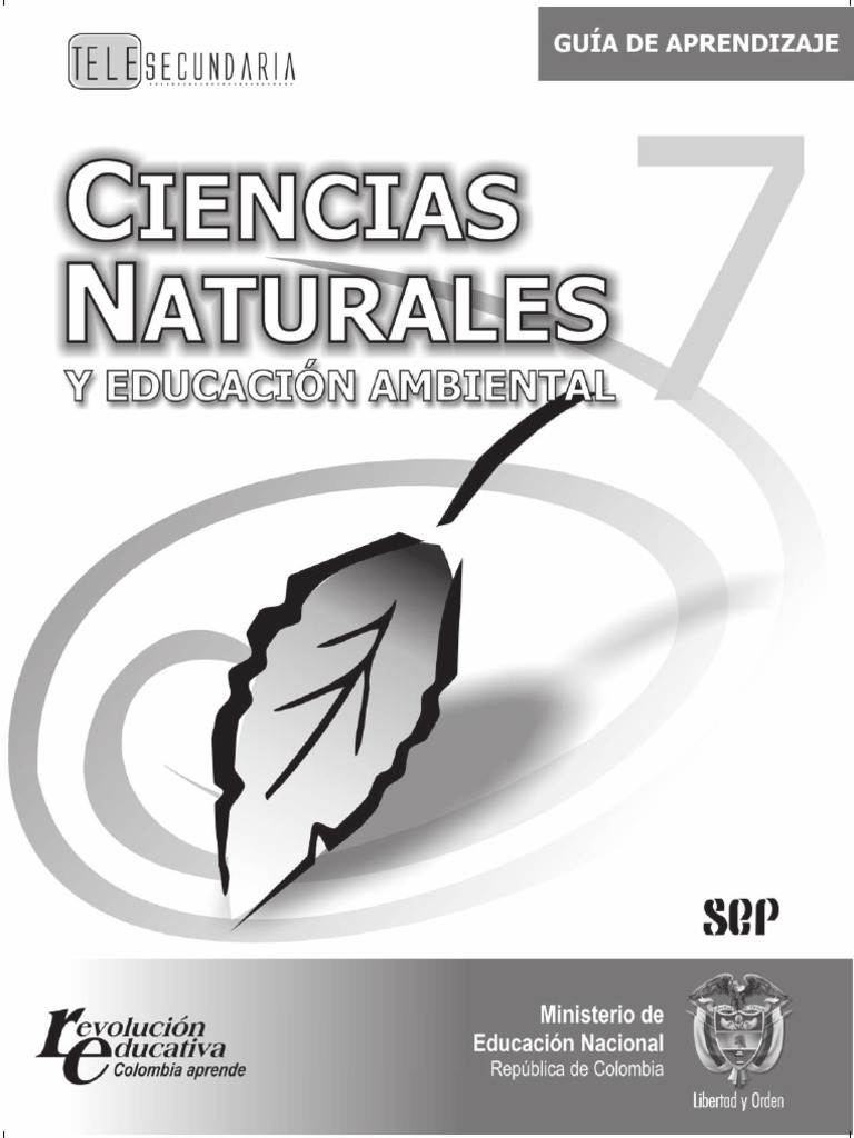 Guia 7 | PDF