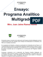 Programa Analitico Multigrado Ensayo