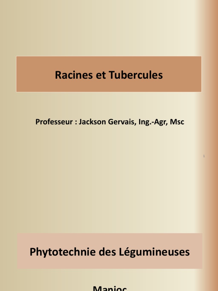 Racines Et Tubercules Cours 11-1 | PDF