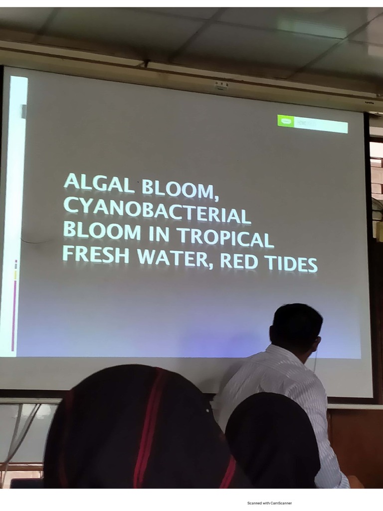 Rashed Sir (Topic 5,6,7) | PDF