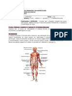 6 Ano Caderno 11 Semana 11 Ciencias o Sistema Muscular PDF