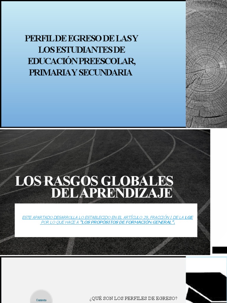 Rasgos Del Perfil de Egreso en La NEM 2022 | PDF