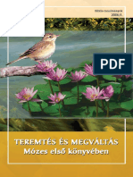 Biblia Tanulmanyok (2006-4) - Teremtes Es Megvaltas