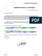 Carta Intranet - Figueroa Bardales