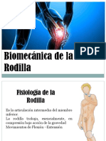 Biomecanica de la Rodilla