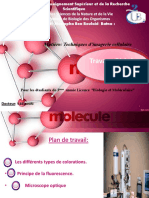 Coloration Hisitochimie