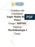 REYES PONCE ANGIE-Cubital Posterior PDF