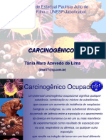 NR 07 - Carcinogênico Ocupacional