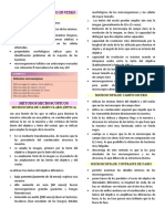 Documento 1