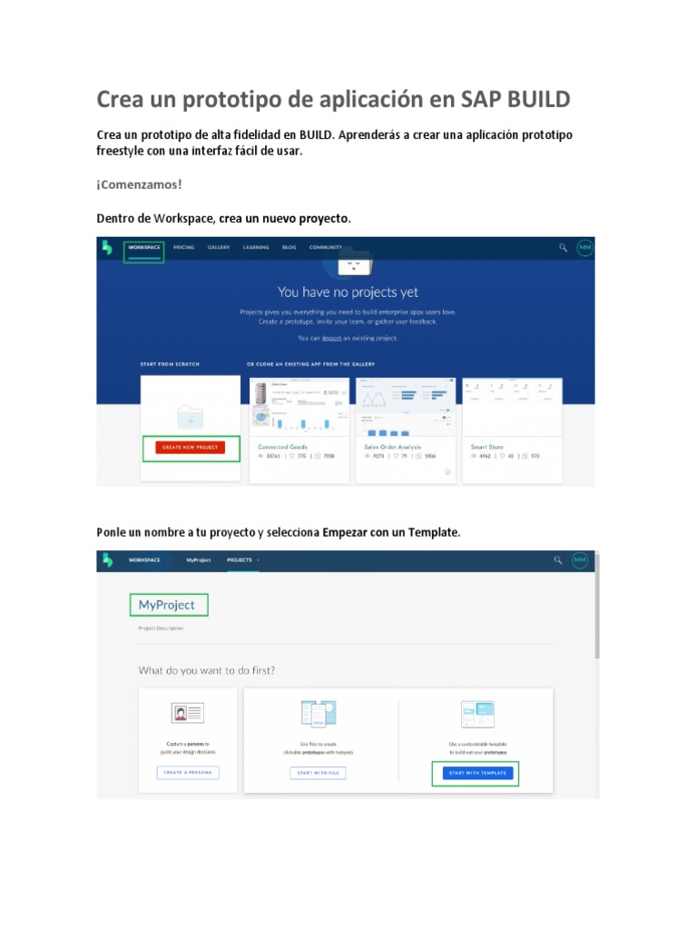 Aplicacion Sap Build | PDF