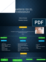 Biomecanica Ligamentos y Tendones