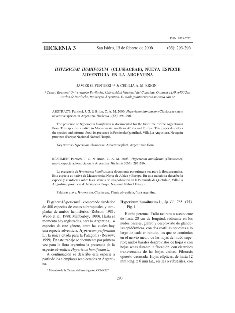 Hickenia 3 Hypericum Humifusum (Clusiaceae), Nueva Especie PDF