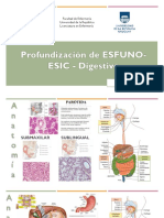 Profundizacion ESIC ESFUNO Digestivo PDF