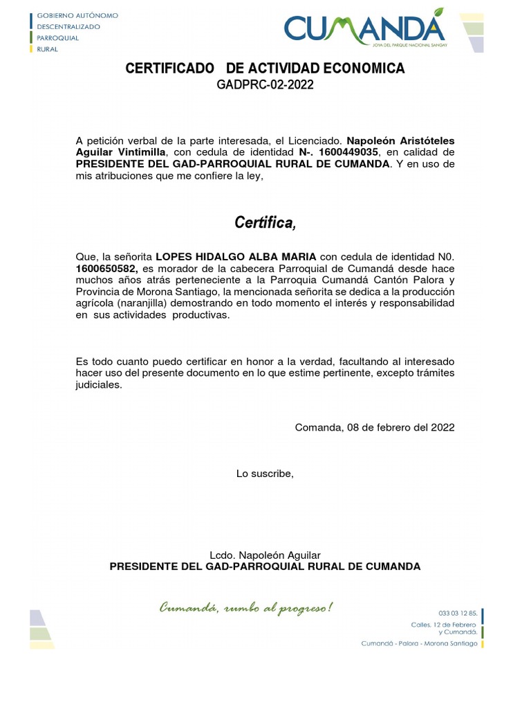 Certificado De Actividad Economica Pdf