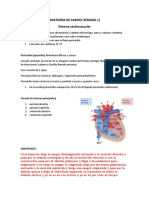 Anatomía de Cardio