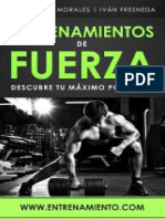 Entrenamientos de Fuerza