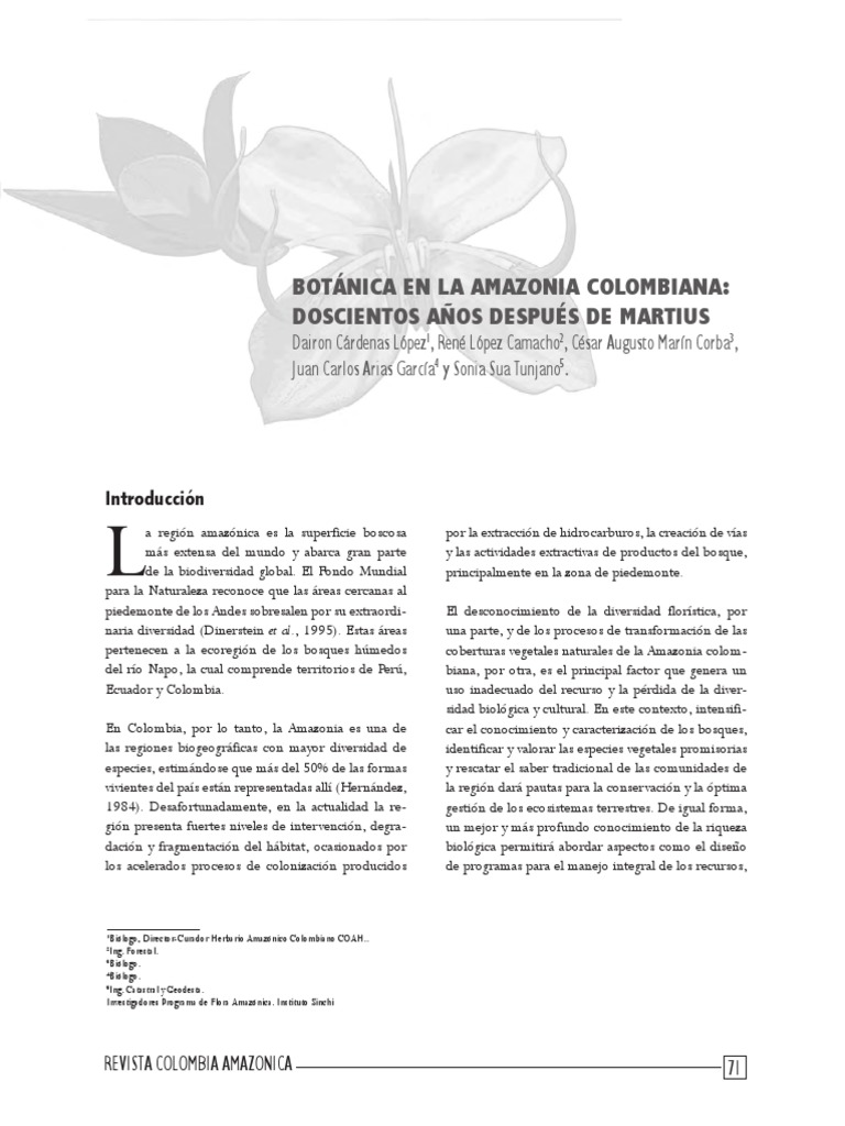 Botánica en la Amazonia Colombiana | PDF | Colombia | Selva amazónica