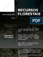 Reservas Florestais