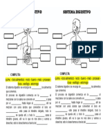 Ficha Sobre Sistema Digestivo