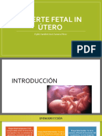 Muerte Fetal in Útero